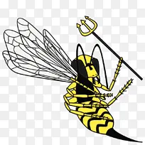 帝王蝴蝶 蜜蜂 毛脚蝴蝶-空若网 帝王蝴蝶 蜜蜂 毛脚蝴蝶-空若网