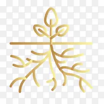 化学疗法诱发的肢端红斑 化疗 药物-空若网 化学疗法诱发的肢端红斑 化疗 药物-空若网