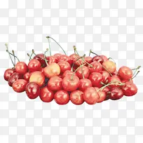 �ͰͶ�˹ӣ�� ʳƷ ����ʳƷ-������