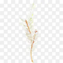 采购产品草 商品 草-空若网 采购产品草 商品 草-空若网