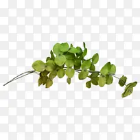 »æ» Ë®²Ê» Ê÷Ö¦-¿ÕÈôÍø »æ» Ë®²Ê» Ê÷Ö¦-¿ÕÈôÍø