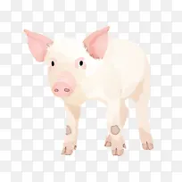 �� ���� ����-������