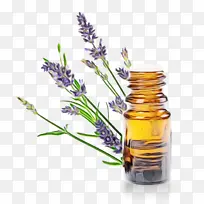 �ݱ�ֲ�� ޹�²� ҽҩ-������