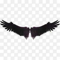 »úÒí ͼֽ ·þ×°Åä¼þ-¿ÕÈôÍø »úÒí ͼֽ ·þ×°Åä¼þ-¿ÕÈôÍø