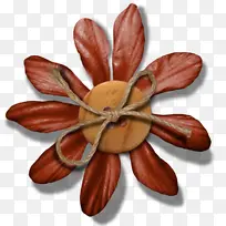 按钮 创意 博客-空若网 按钮 创意 博客-空若网