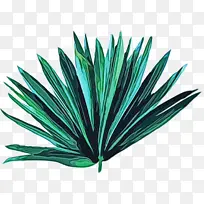 叶子 绿色 草-空若网 叶子 绿色 草-空若网