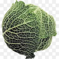 �߲� ���Ĳ� С���Ĳ�-������