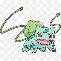 蓝鲸 常春藤 草-空若网 蓝鲸 常春藤 草-空若网