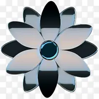 ���� ��ɫ ����-������