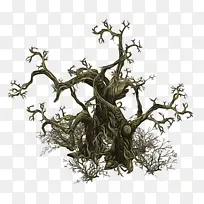 ��֦ ֲ�ﾥ ����ֲ��-������