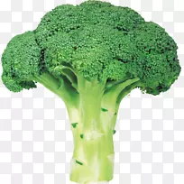 西兰花蔬菜剪贴画花椰菜-空若网 西兰花蔬菜剪贴画花椰菜-空若网