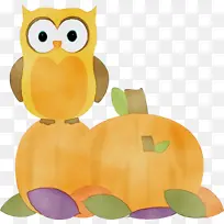 猫头鹰 十月 博客-空若网 猫头鹰 十月 博客-空若网