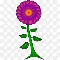 佩斯利 绘画 花-空若网 佩斯利 绘画 花-空若网