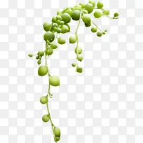 ɵ¹Ï»¨Ô° ÄûÃÊÊ÷ ²©¿Í-¿ÕÈôÍø ɵ¹Ï»¨Ô° ÄûÃÊÊ÷ ²©¿Í-¿ÕÈôÍø