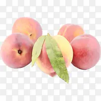 ʳƷ ���� ��ȻʳƷ-������