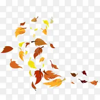 ��Ӱ ���� ��-������