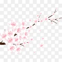 桃子 粉色 花-空若网 桃子 粉色 花-空若网