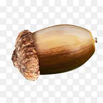 ÉÌÆ· ¼á¹û Ê÷-¿ÕÈôÍø ÉÌÆ· ¼á¹û Ê÷-¿ÕÈôÍø