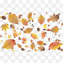 À¥³æ ºûµû ´«·ÛÕß-¿ÕÈôÍø À¥³æ ºûµû ´«·ÛÕß-¿ÕÈôÍø