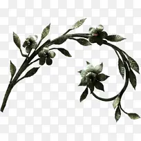 Ҷ�� ��֦ ��֦-������