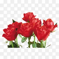 绘画 音乐 爱情-空若网 绘画 音乐 爱情-空若网