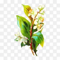 »æ» »¨»Ü Ë®²Ê»-¿ÕÈôÍø »æ» »¨»Ü Ë®²Ê»-¿ÕÈôÍø