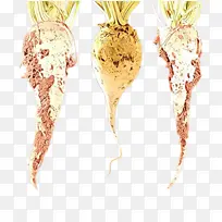 食品 根类蔬菜 蔬菜-空若网 食品 根类蔬菜 蔬菜-空若网