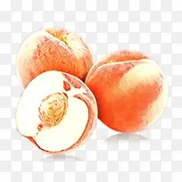 ��Ƶ ���� ����-������