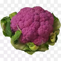 »¨Ò¬²ËÊ®×Ö»¨¿ÆÊ߲˾íÐIJ˻¨Ò¬²Ë-¿ÕÈôÍø »¨Ò¬²ËÊ®×Ö»¨¿ÆÊ߲˾íÐIJ˻¨Ò¬²Ë-¿ÕÈôÍø