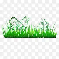 Âó²Ý Ïã¸ù²Ý ÈÕÓÃÆ·-¿ÕÈôÍø Âó²Ý Ïã¸ù²Ý ÈÕÓÃÆ·-¿ÕÈôÍø