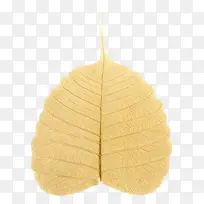 Ҷ�� ��ɫ ��-������