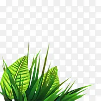 Ҷ �� �����-������