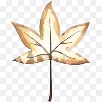 叶 对称 树-空若网 叶 对称 树-空若网