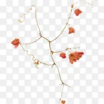 采购产品项链 珠宝 身体珠宝-空若网 采购产品项链 珠宝 身体珠宝-空若网