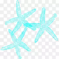 海星绿松石珊瑚剪贴画-珊瑚-空若网 海星绿松石珊瑚剪贴画-珊瑚-空若网