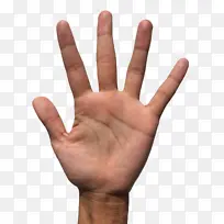 手指 木偶 拇指-空若网 手指 木偶 拇指-空若网