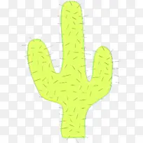 海星 植物茎 手指-空若网 海星 植物茎 手指-空若网