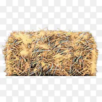 ���� ȫ���� ��-������