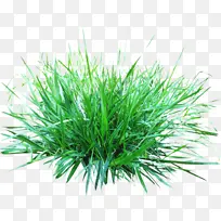 ��ƺ �� ��Ȫ��-������