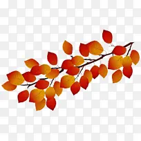 叶子 橙色 树-空若网 叶子 橙色 树-空若网