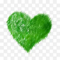 ���� ��ɫ ��-������