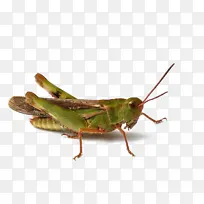 ���� �ȳ� ��-������