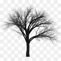 树枝剪贴画-坟场-空若网 树枝剪贴画-坟场-空若网