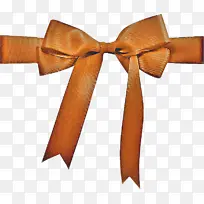 缎带 橙色 棕色-空若网 缎带 橙色 棕色-空若网