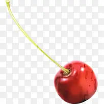 �ɹ���Ʒ�����鱦 �鱦 ӣ��-������