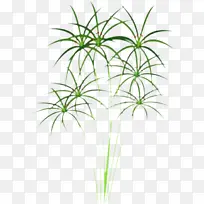 ֽ«έ �Ű��� ֽɯ��-������