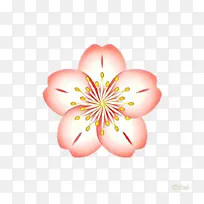 ���� ֲ�� ����-������