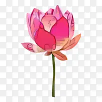 ˯Á« »¨¶ä °£¼°Á«»¨-¿ÕÈôÍø ˯Á« »¨¶ä °£¼°Á«»¨-¿ÕÈôÍø