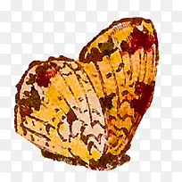 蝴蝶 昆虫 飞蛾和蝴蝶-空若网 蝴蝶 昆虫 飞蛾和蝴蝶-空若网