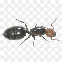 ���� ���� ��ҳ���-������